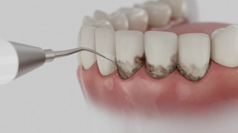 Reliable Dental contractor in West Glendive, MT by Dentist Open Now